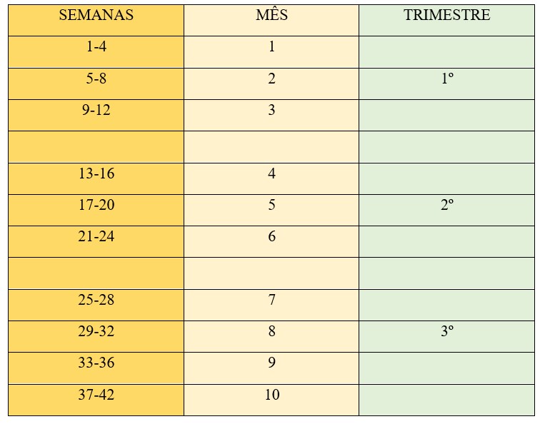 Tabela de equivalência gestacional: semanas, meses e trimestres.