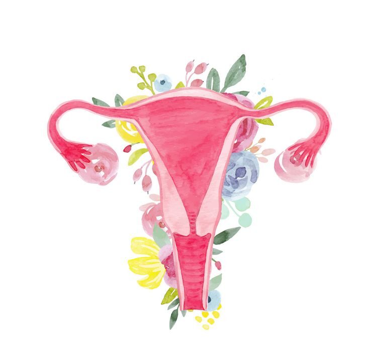coleta de preventivo
tratamento de corrimentos
candidiase vaginal
