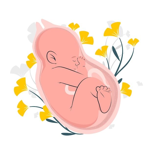 obstetrícia